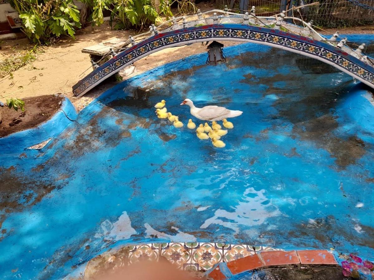 La Posada Del Sol Villa Gesell Luaran gambar